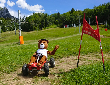 Bob Kart