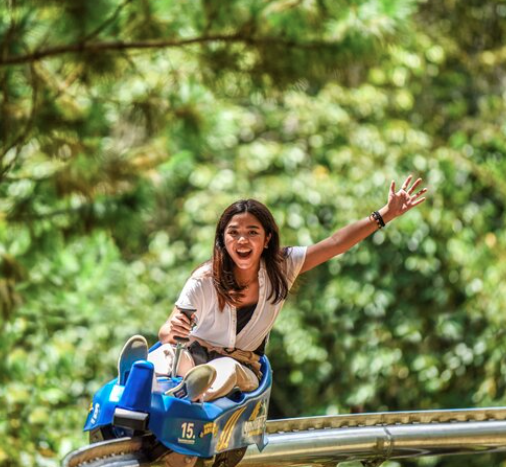 Luge 4 saisons