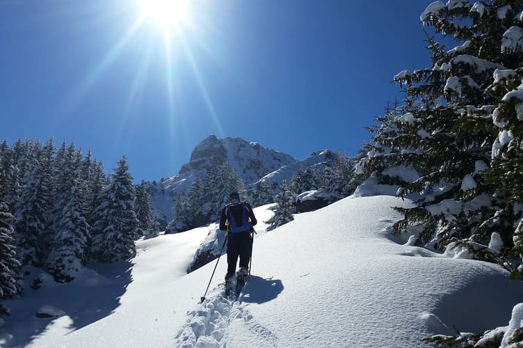 Ski de randonnée