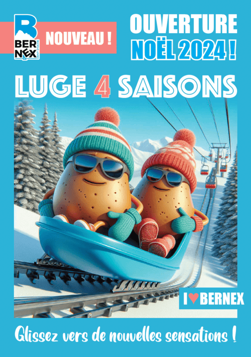 Luge 4 saisons